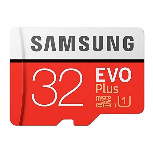 41IfH+oCZ1L.jpg